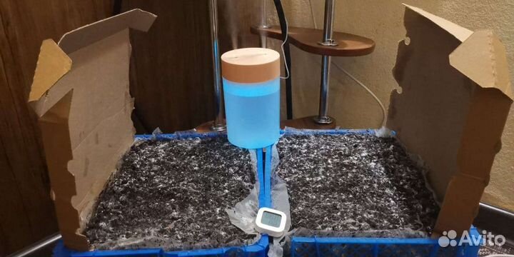 Готовые блоки Шампиньонов