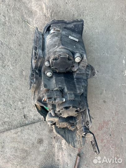 Фара сан Young Актион