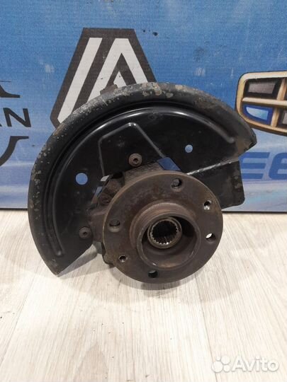 Кулак поворотный Цапфа Ступица в сборе Renault san