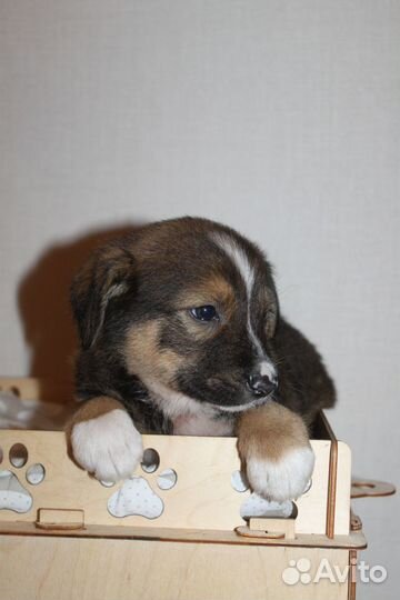 Хорошенький мальчишечка