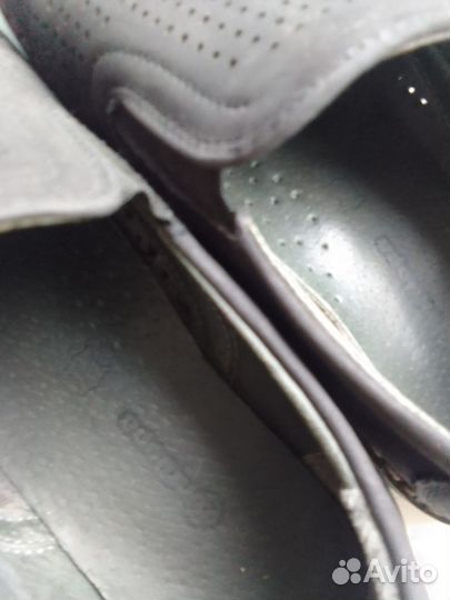 Туфли антилопа