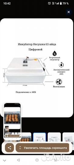 Инкубатор несушка для яиц автоматический бу