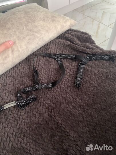 Шлейка для маленькой собаки