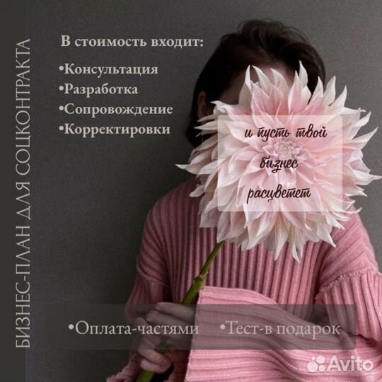 Бизнес-план для соцконтракта