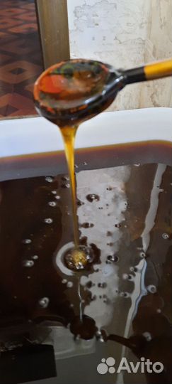 Горный мёд 2023