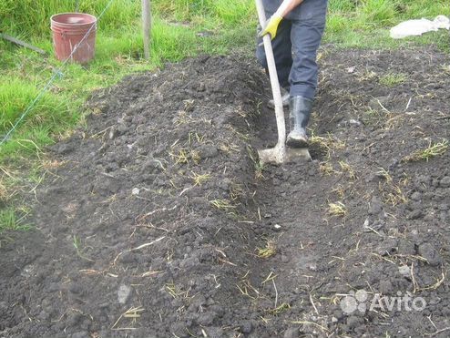 Квартиру на Восстания с обрушившимся балконом продолжили сдавать аренду