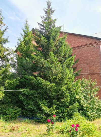 Дом 126,8 м² на участке 20 сот.