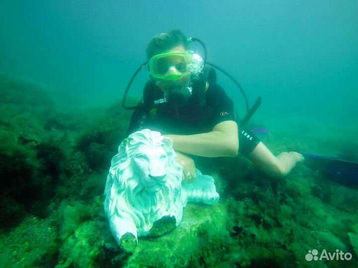 Дайвинг в живописном месте для всех жилающих