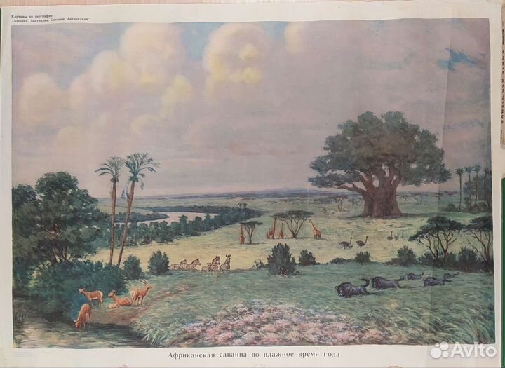 Картины- Плакаты СССР 1968 г