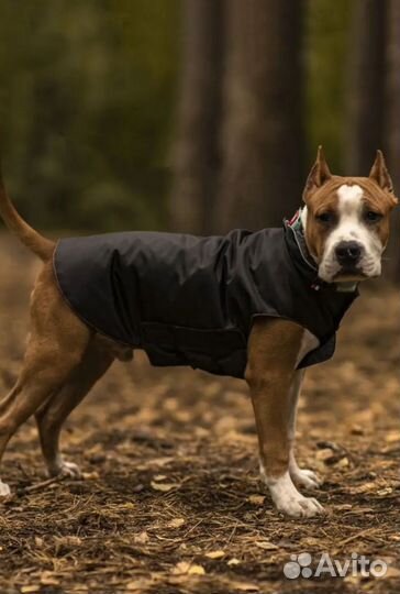 Новая куртка, попона, комбинезон 30, 40, 50 см