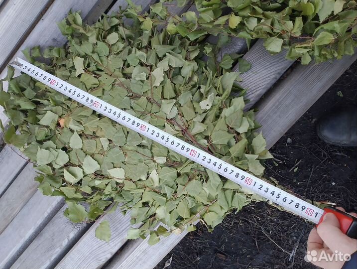 Березовые веники для бани