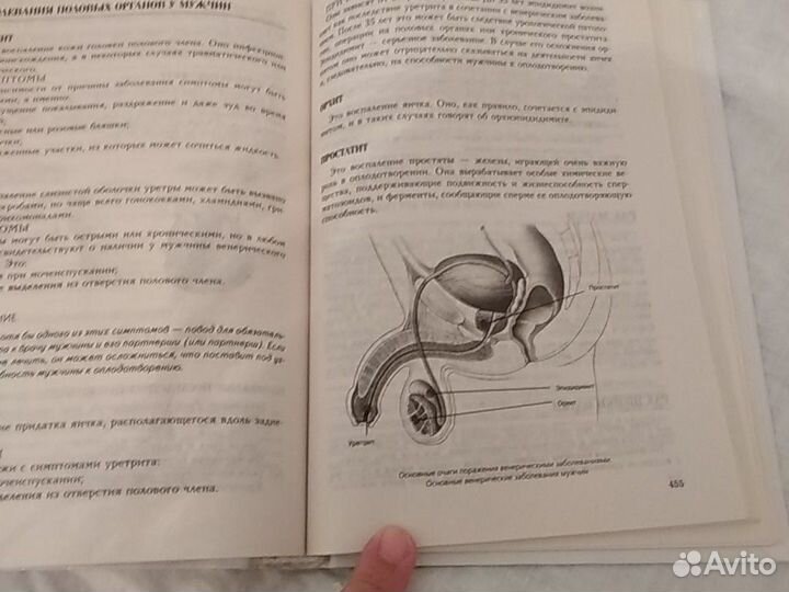 Анна де Кервасдуэ (девочка, девушка,женщина)