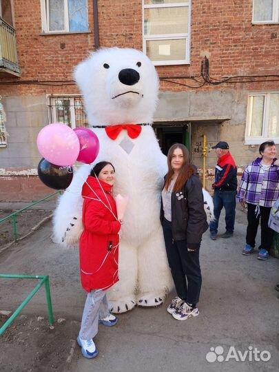 Поздравление от Белого Медведя