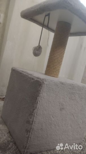 Кошачий домик с когтеточкой