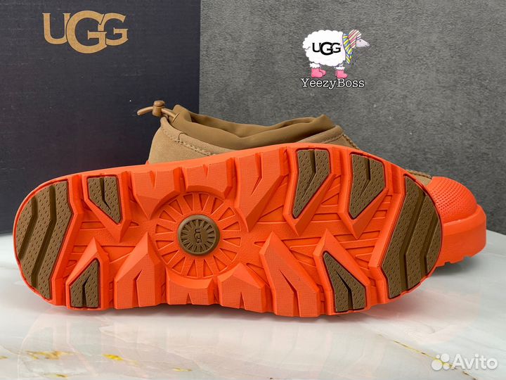 Кроссовки зимние женские Ugg Tasman Hybrid