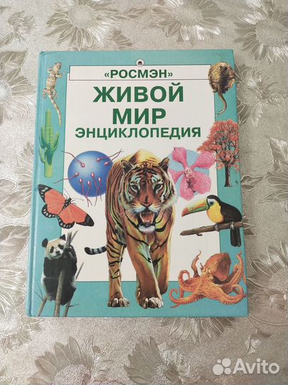 Энциклопедия для детей