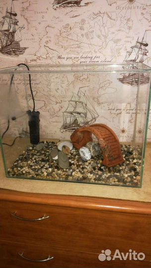 Аквариум