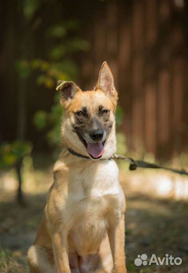 Молодая девочка охранница