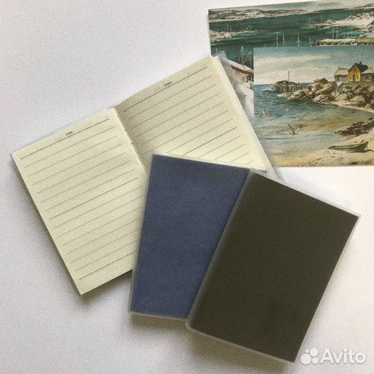 Записная книжка (блокнот / А6 / 96 листов)