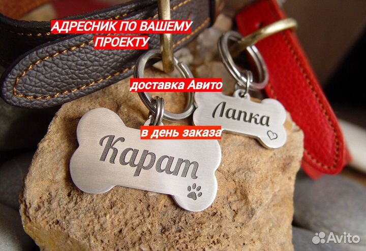 Адресники для собак