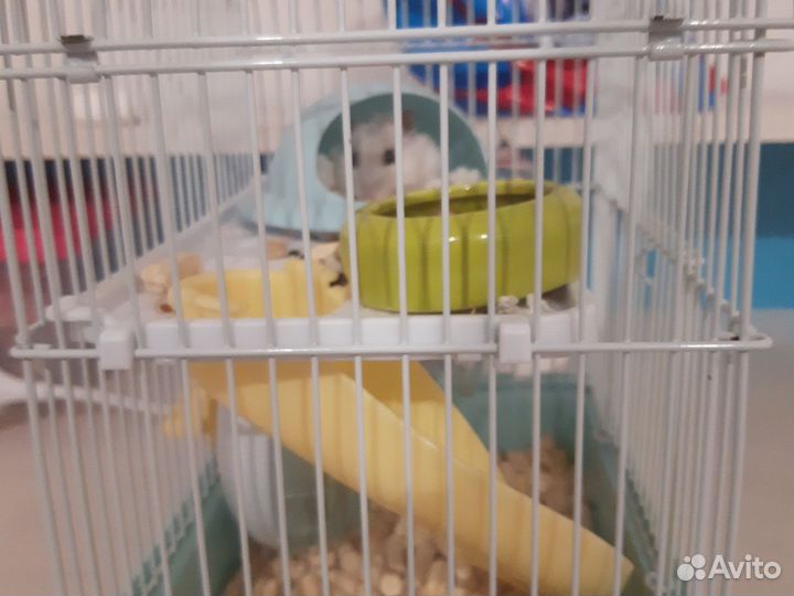 Клетка для грызунов средния