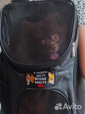 Переноска для животных корзина и рюкзак