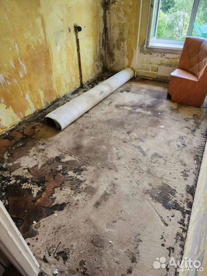 Демонтаж квартиры / Вывоз мусора