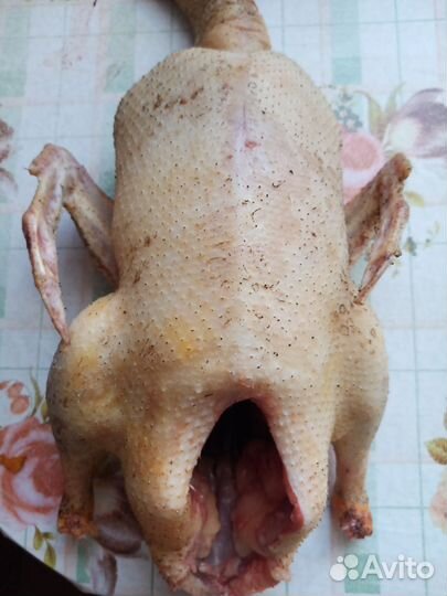 Мясо утки