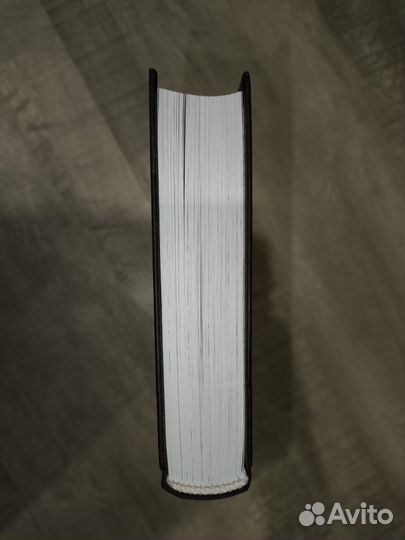 Общество мертвых и исключительных – Анви Рид