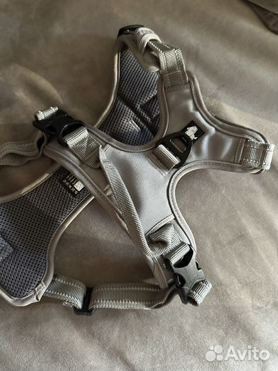 Шлейка для собаки L True Love