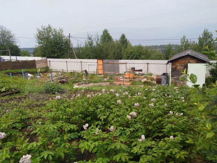 Дача 10 м² на участке 6 сот.