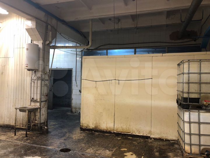 Аренда помещения с холодильной камерой, 111.5 м²