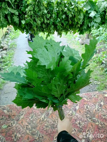 Дубовые, березовые веники для бани