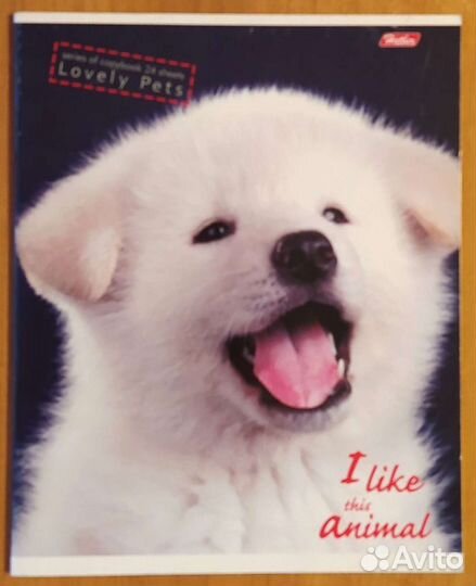 Тетради клетка, линейка. Папка