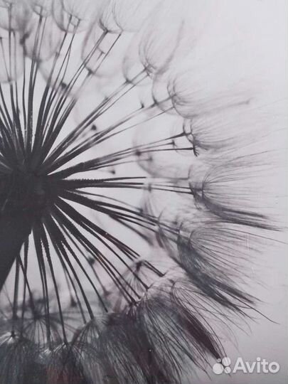 Плакат постер черно-белый рамка черная картина