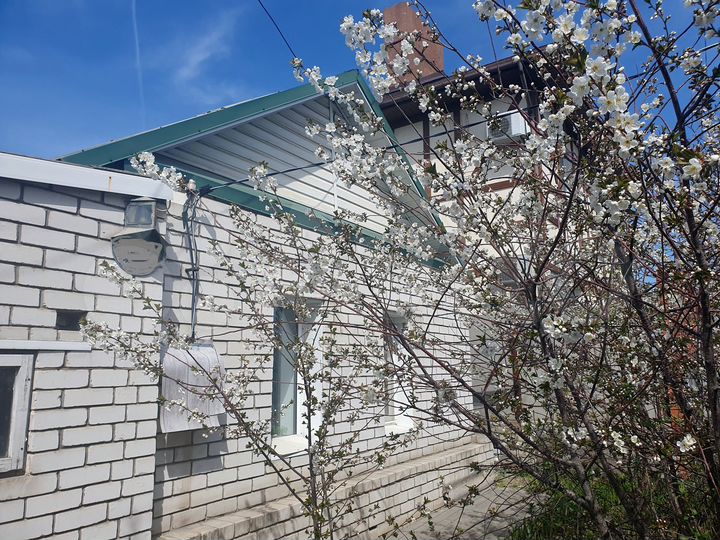 Дом 57 м² на участке 5 сот.