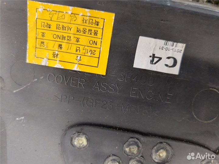 Накладка на двс Hyundai Equus, 2016