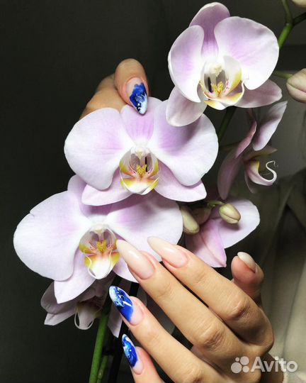 Педикюр с покрытием гель-лаком