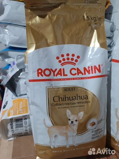 Корм для собак royal canin Chihuahua Adult 3- 1,5