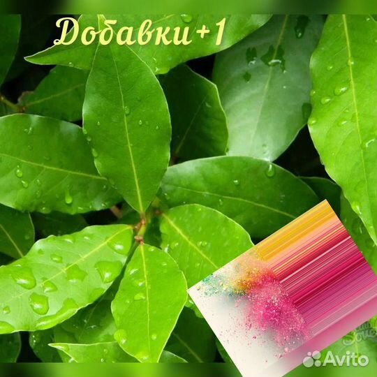 Лавровый лист