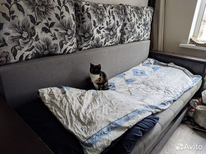 Кошка кисти великого импрессиониста в дар