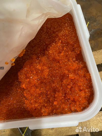 Красная икра лососевая