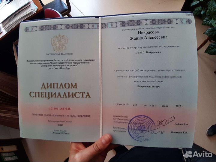 Кастрация кошек и котов, кобелей