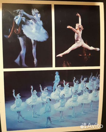 Фотографии-открытки 