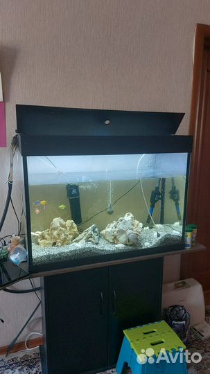 Аквариум б/у с тумбой рыбами и всем содержимым