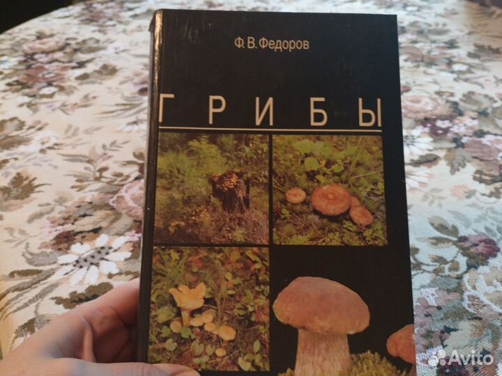 Книга, Грибы