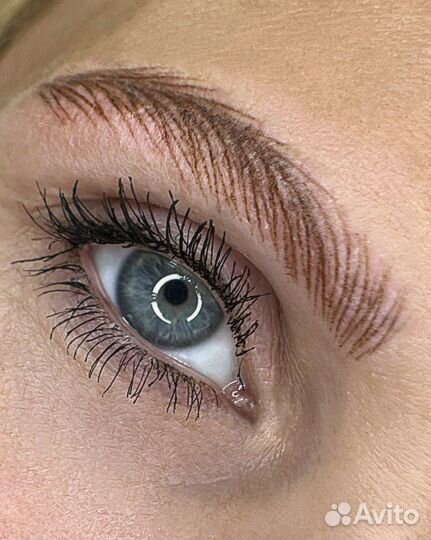 Волосковая техника бровей