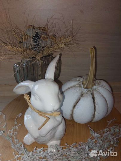 Тыква декоративная