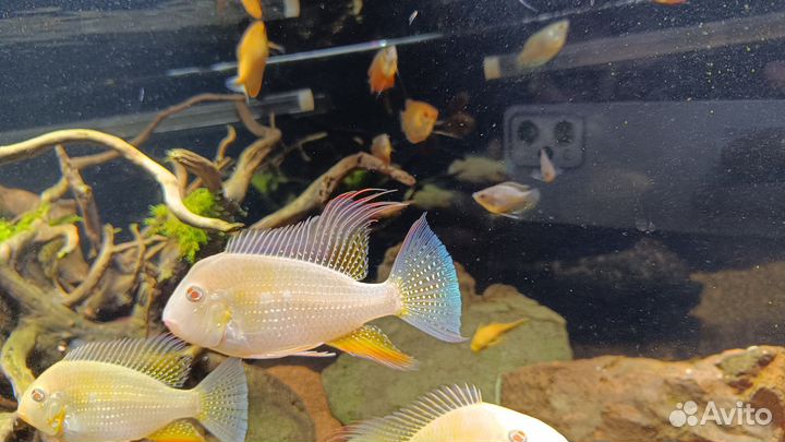 Аквариум Dennerle Nano Cube на 30 л