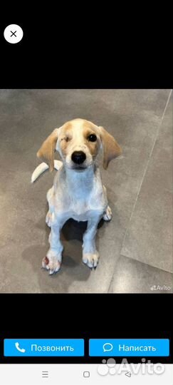 Красотка пережила боль но осталась доверчивой